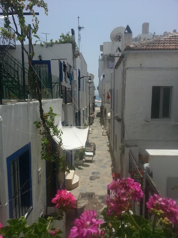 Cemil Ipekci Pension 博德鲁姆 外观 照片